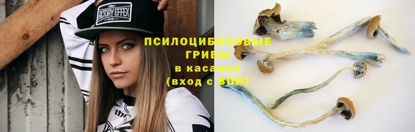 прущие крисы Нязепетровск