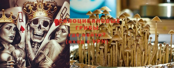 не бодяженный Няндома