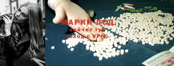 крисы Болотное