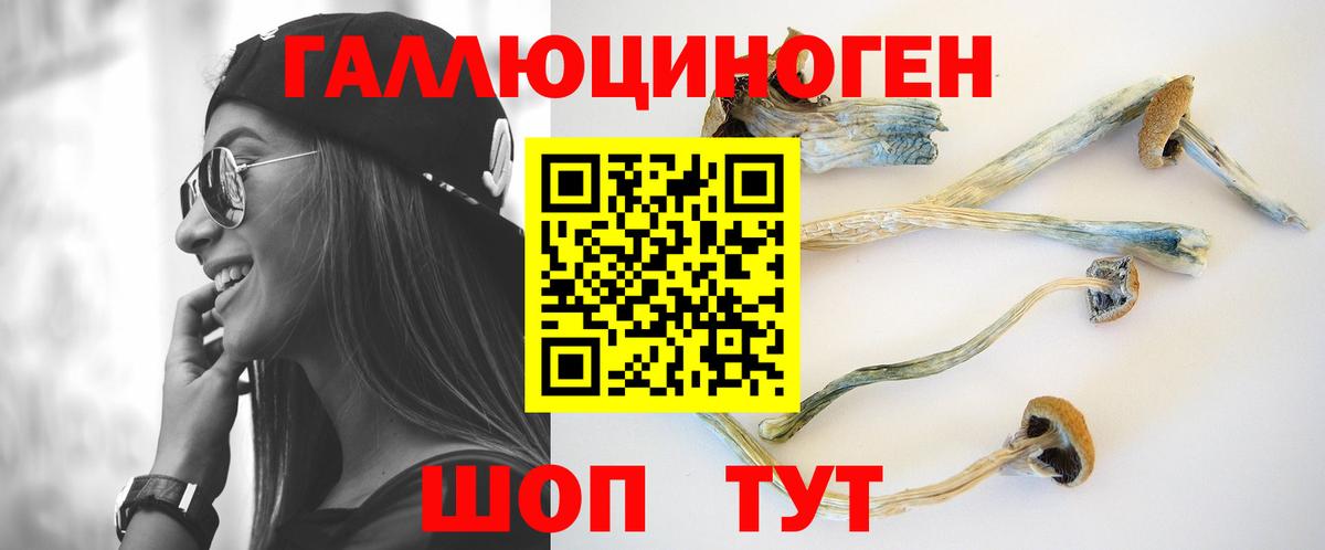 купить  цена  Псилоцибиновые грибы Magic Shrooms  Псилоцибиновые грибы мухоморы  Вход с VPN  Биробиджан 